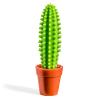 Stylo Cactus